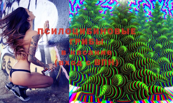 дурь Семилуки